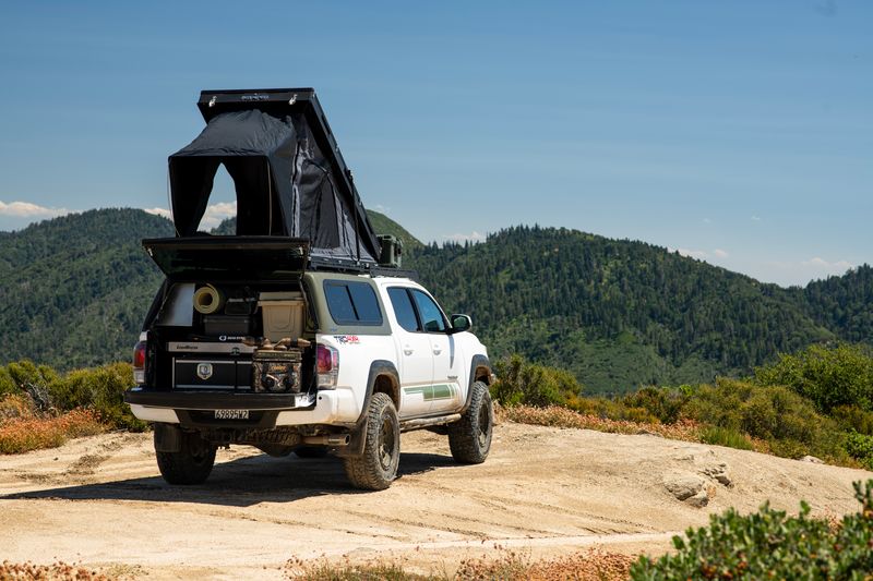 The Ins and Outs of Cargo Management